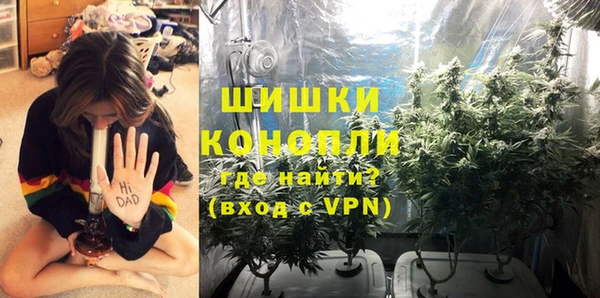 spice Бородино