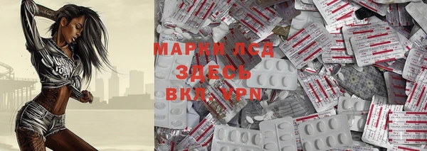 spice Бородино