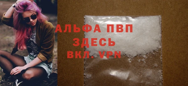 spice Бородино
