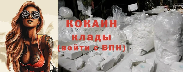 spice Бородино