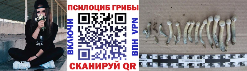 Галлюциногенные грибы ЛСД  Миллерово 